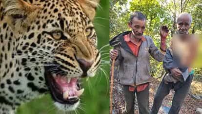 Big Breaking:-यमुनोत्री हाईवे के पास बकरी चुगा रहे दो ग्रामीणों पर गुलदार ने किया हमला, बुरी तरह हुए घायल